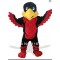 Hawk Mascot costume