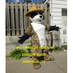 Ranger Rick Racoon Mascot Costume Hot Cartoon