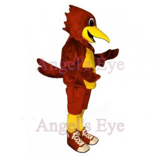 Yellow Belly Red Roadrunner Mascot Scarlet Bird Costume