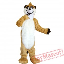 Raccoon Mascot Costume Adult