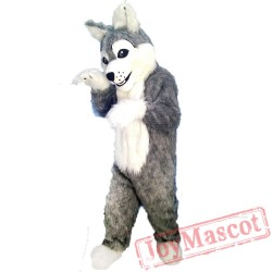 Long gray wolf Mascot Costume
