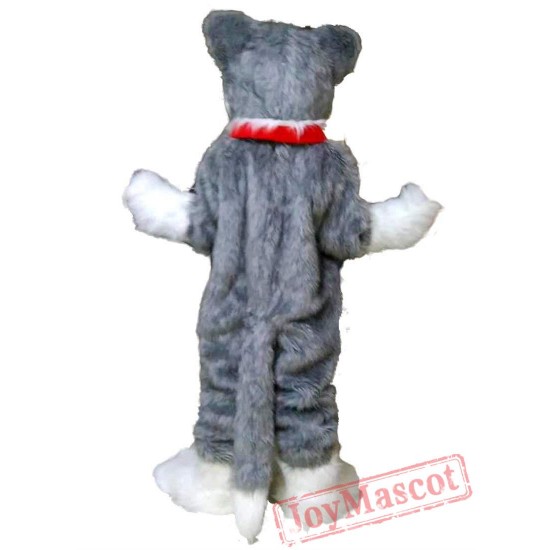 Grey Wolf Mascot Costume