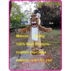 Wildcat Mascot Costume Bobcat