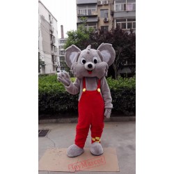 Koala Mascot Costume Coala Bear