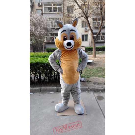 Grey Squirrel Mascot Costume