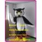 Plush Owl Hoot Mascot Costume