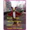 Dark Red Griffin Mascot Gryphon Costume